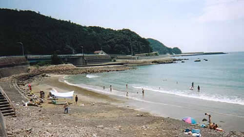 田井ノ浜海岸の様子