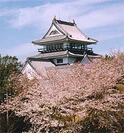 日和佐城の外観と桜